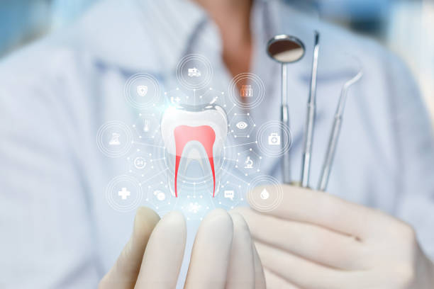 Professional  Holistic Dental Services in Canby, OR